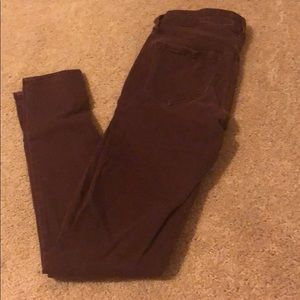 maroon pant